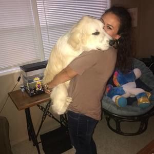 Meet your Posher, Molly